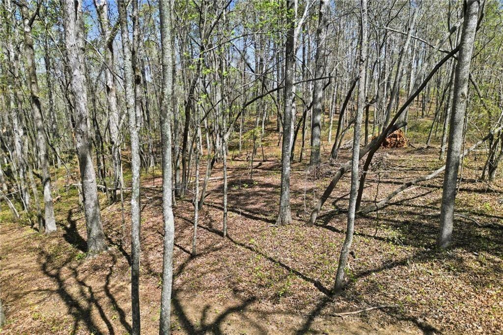 3102 Flatbottom Road Property Photo 9