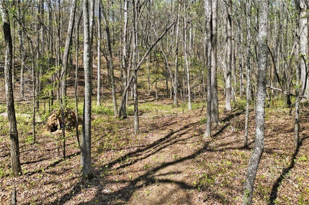 3102 Flatbottom Road Property Photo 10