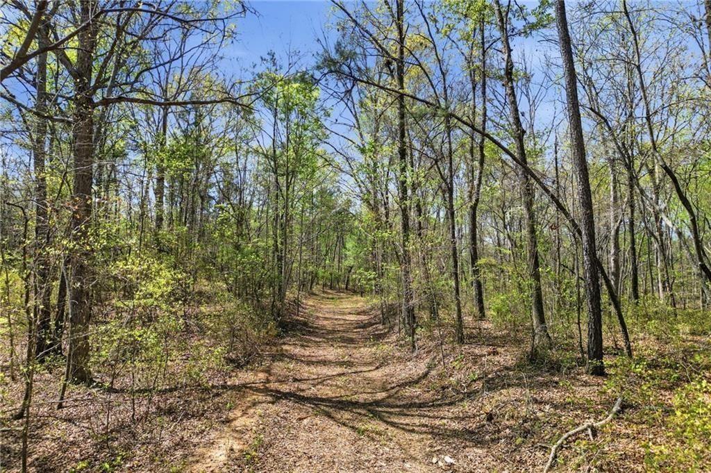 3102 Flatbottom Road Property Photo 12