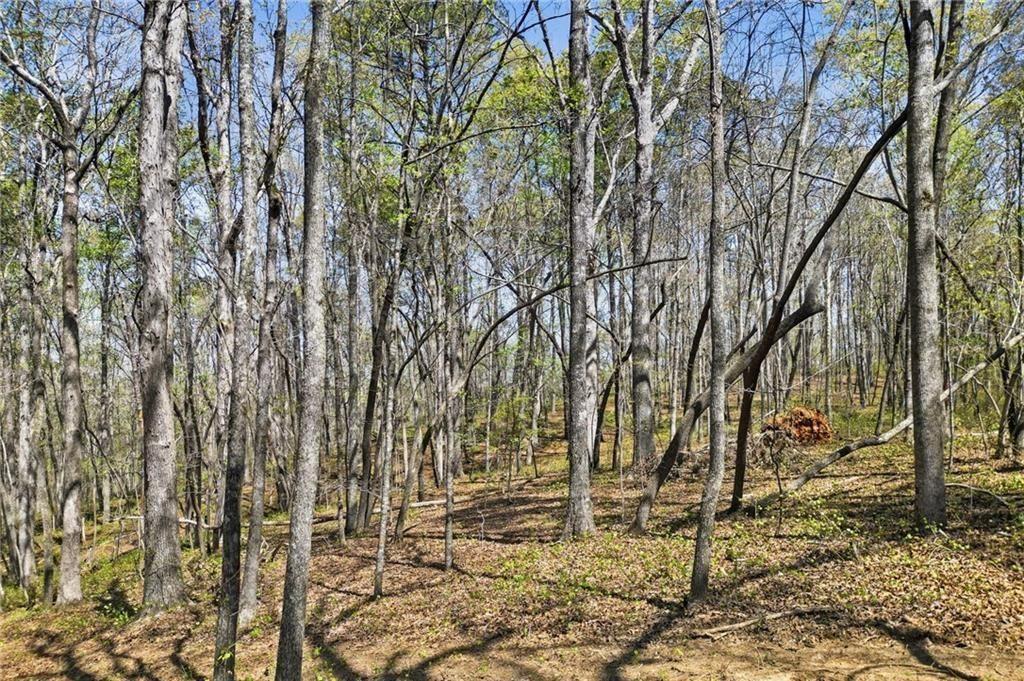 129 Heritage Plantation Drive Property Photo 6