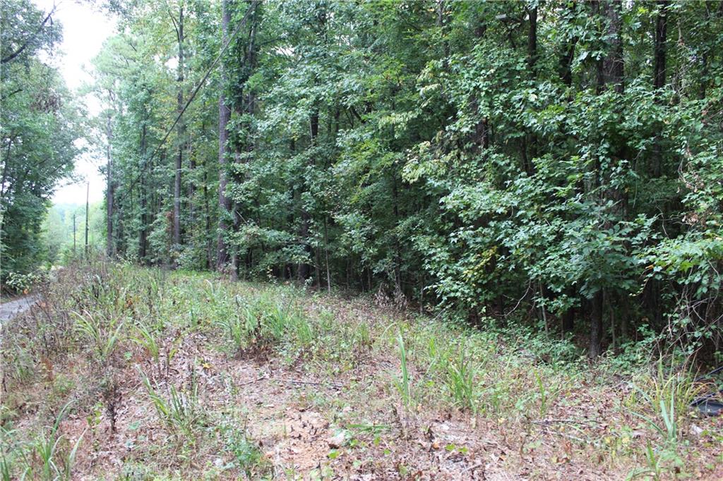 433 N. Deshong Property Photo 4