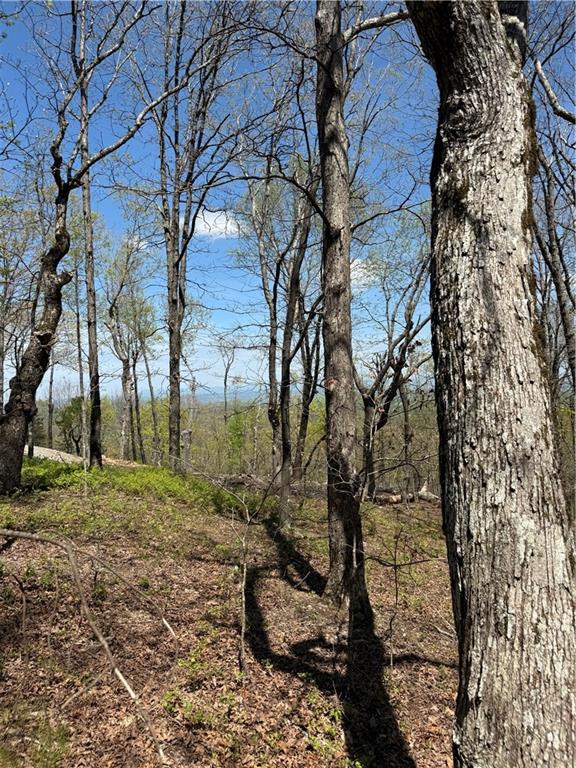 161 Sharp Mountain Parkway Property Photo 3