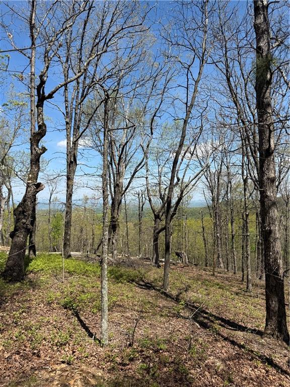 161 Sharp Mountain Parkway Property Photo 4