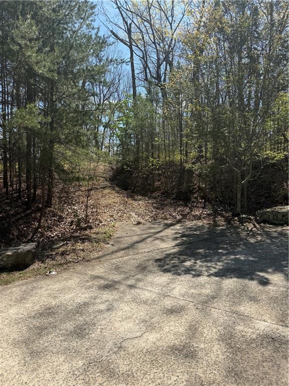 161 Sharp Mountain Parkway Property Photo 5