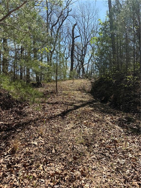161 Sharp Mountain Parkway Property Photo 6