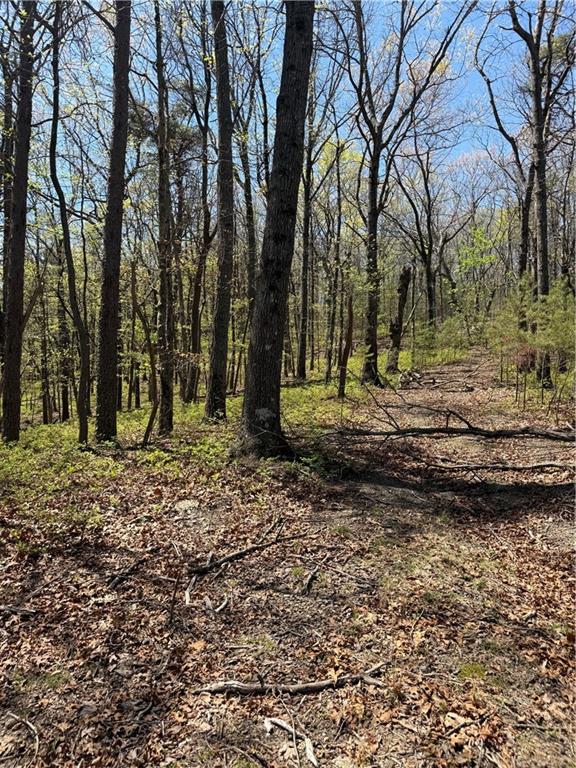 161 Sharp Mountain Parkway Property Photo 7