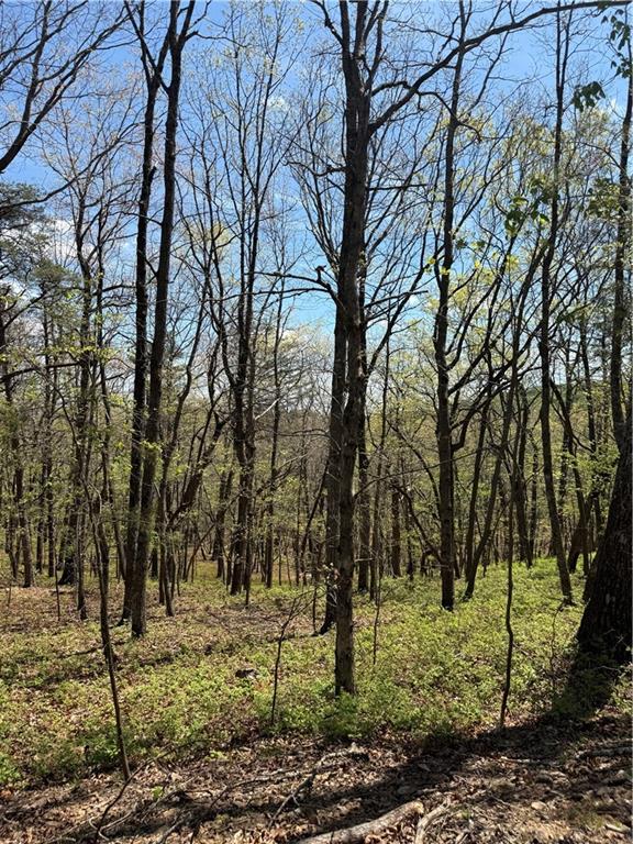 161 Sharp Mountain Parkway Property Photo 8