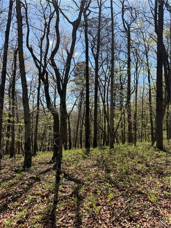 161 Sharp Mountain Parkway Property Photo 9