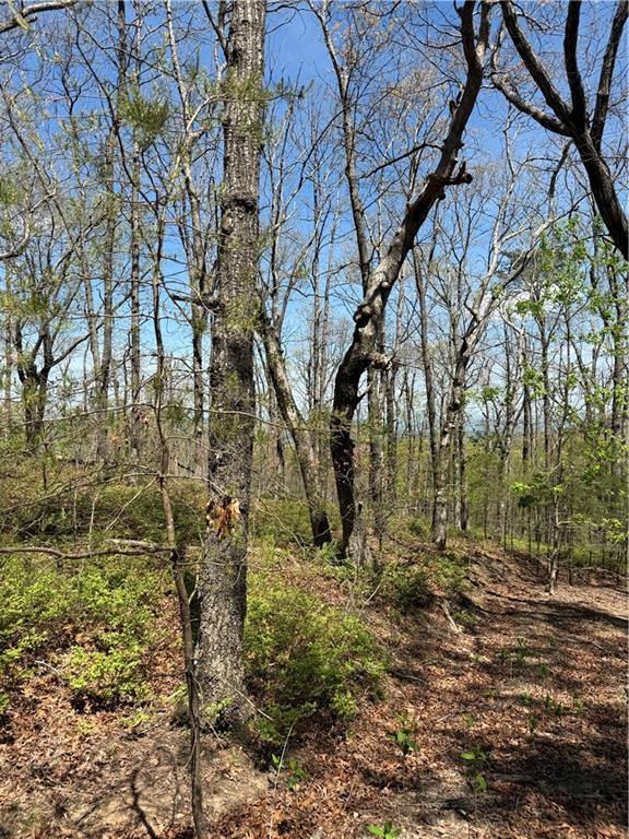 161 Sharp Mountain Parkway Property Photo 10