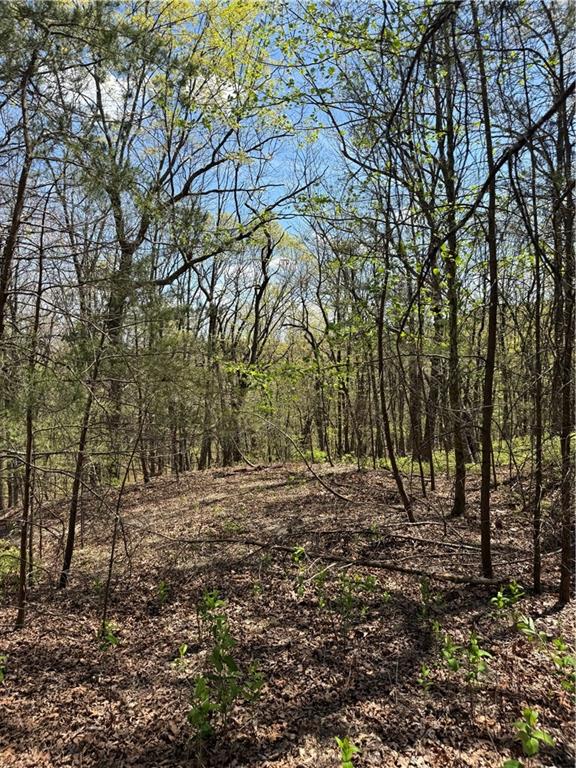 161 Sharp Mountain Parkway Property Photo 11