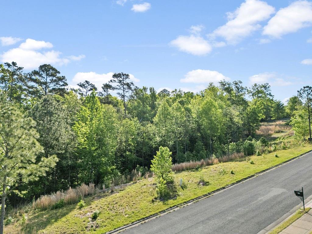 45 Mountain Crest Drive Property Photo 3