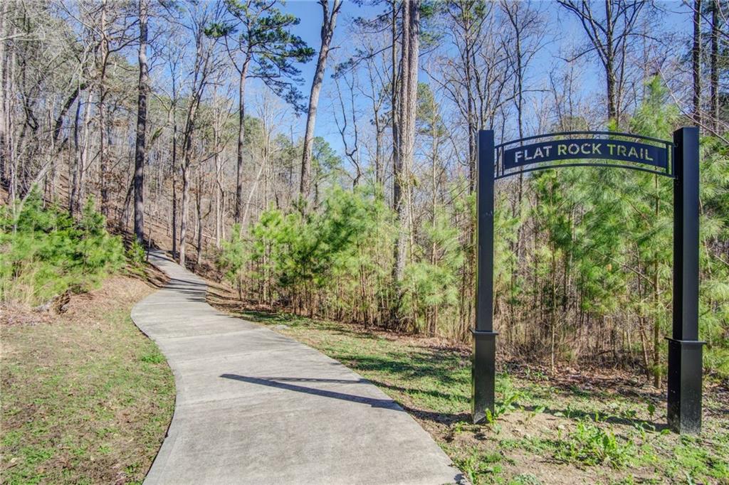 114 Sunset Peak Court Property Photo 53