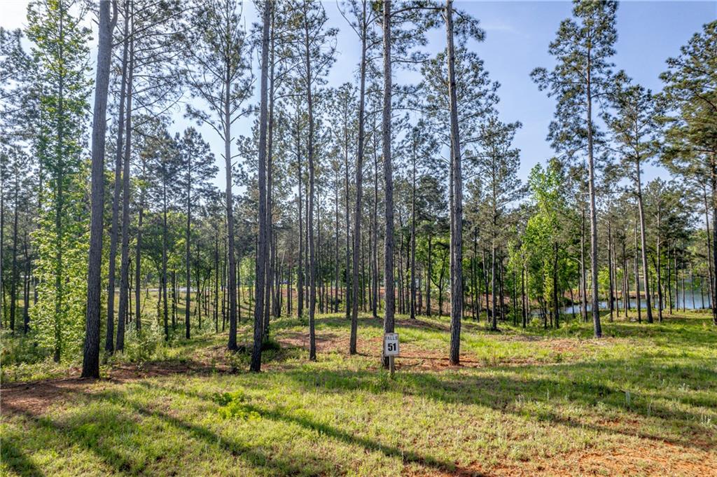 203 Falls Lane Property Photo 1