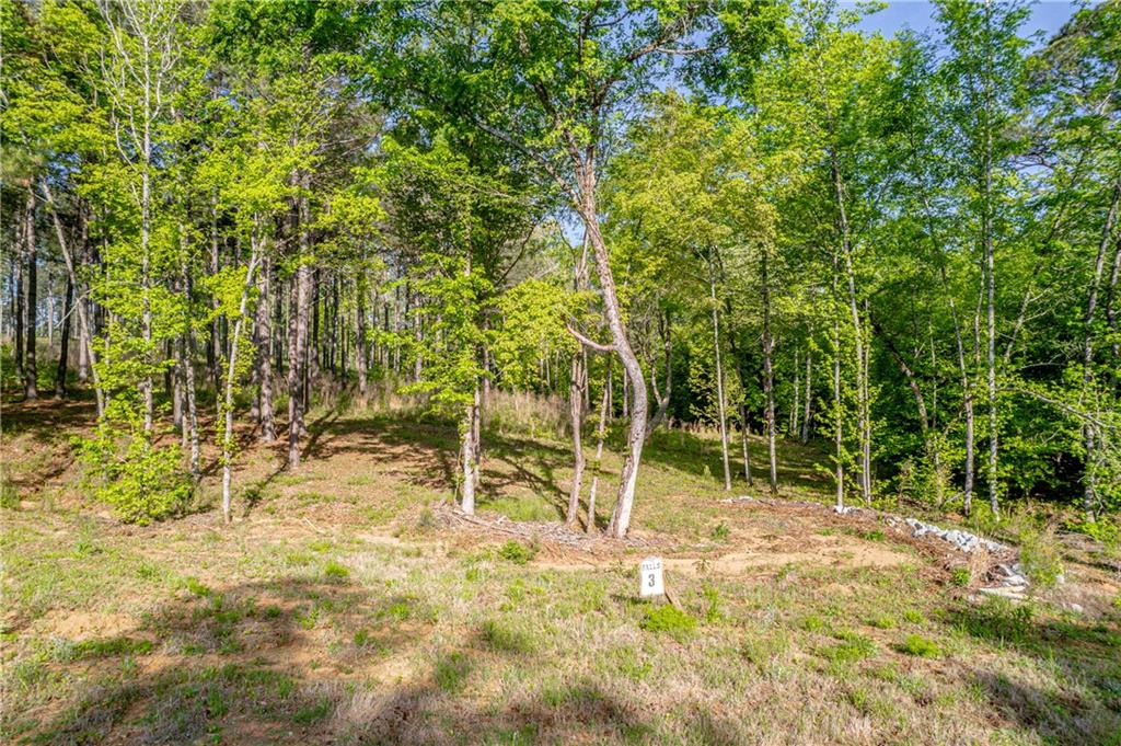 126 Falls Lane Property Photo 1