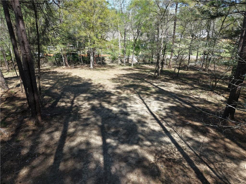 536 Rockville Springs Drive Property Photo 6