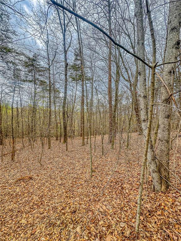 0 Green Meadows Property Photo 1
