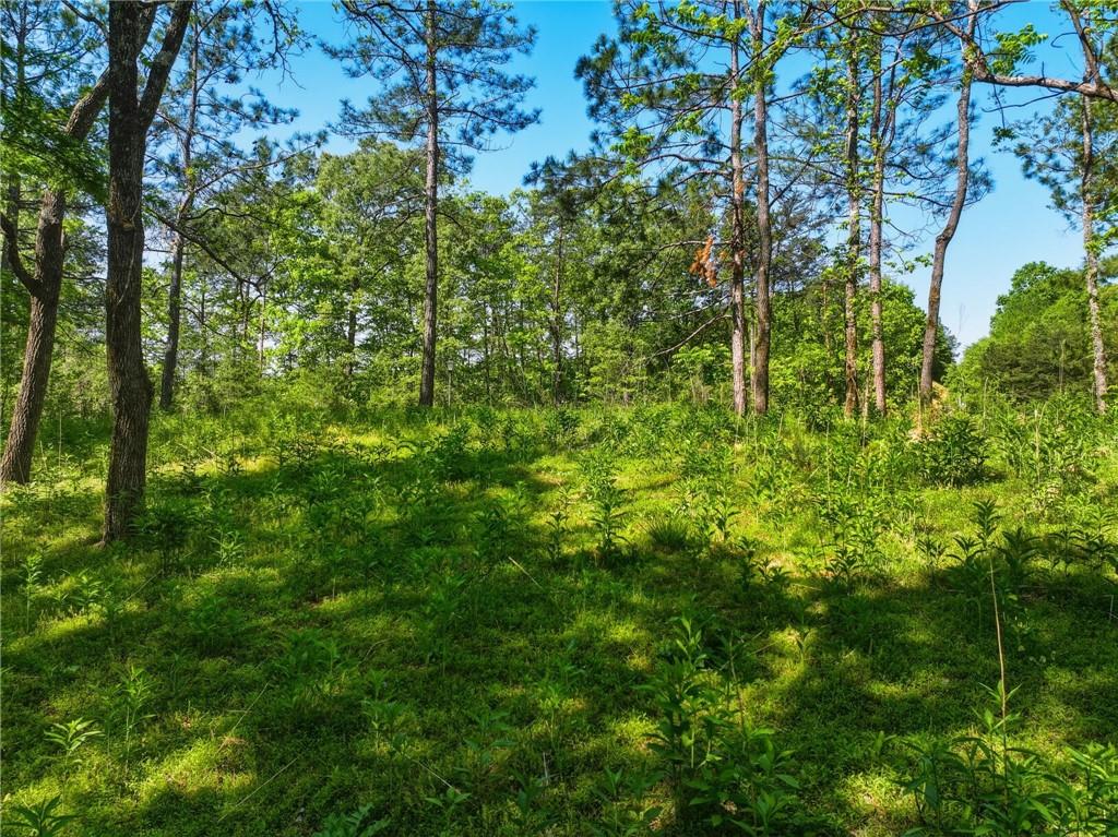 Lot 2 Summit Drive Property Photo 2