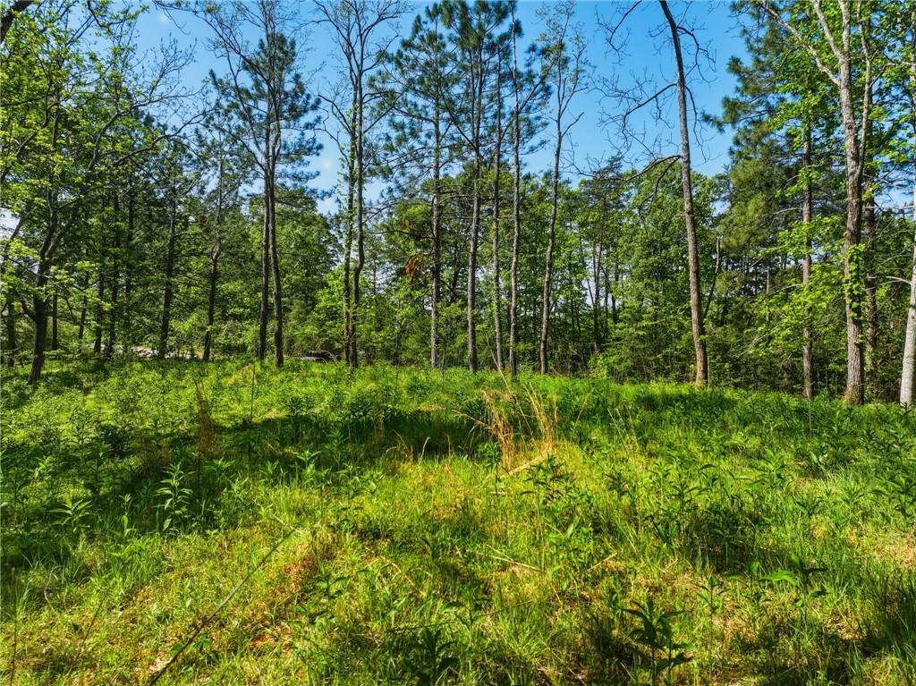 Lot 2 Summit Drive Property Photo 3