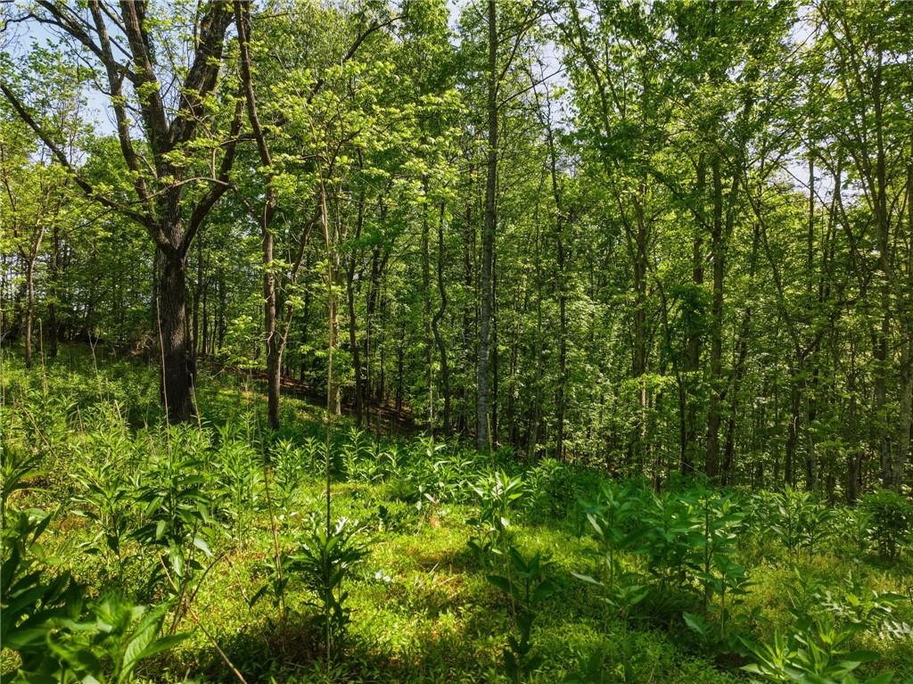 Lot 2 Summit Drive Property Photo 4