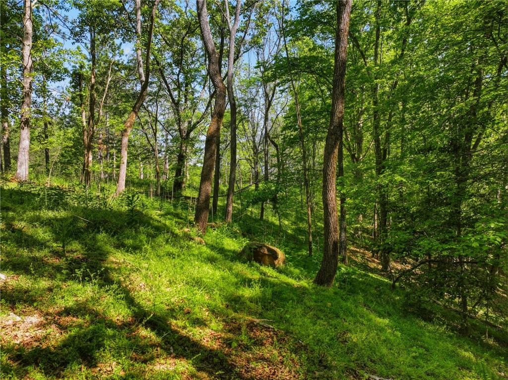 Lot 4 Summit Drive Property Photo 3