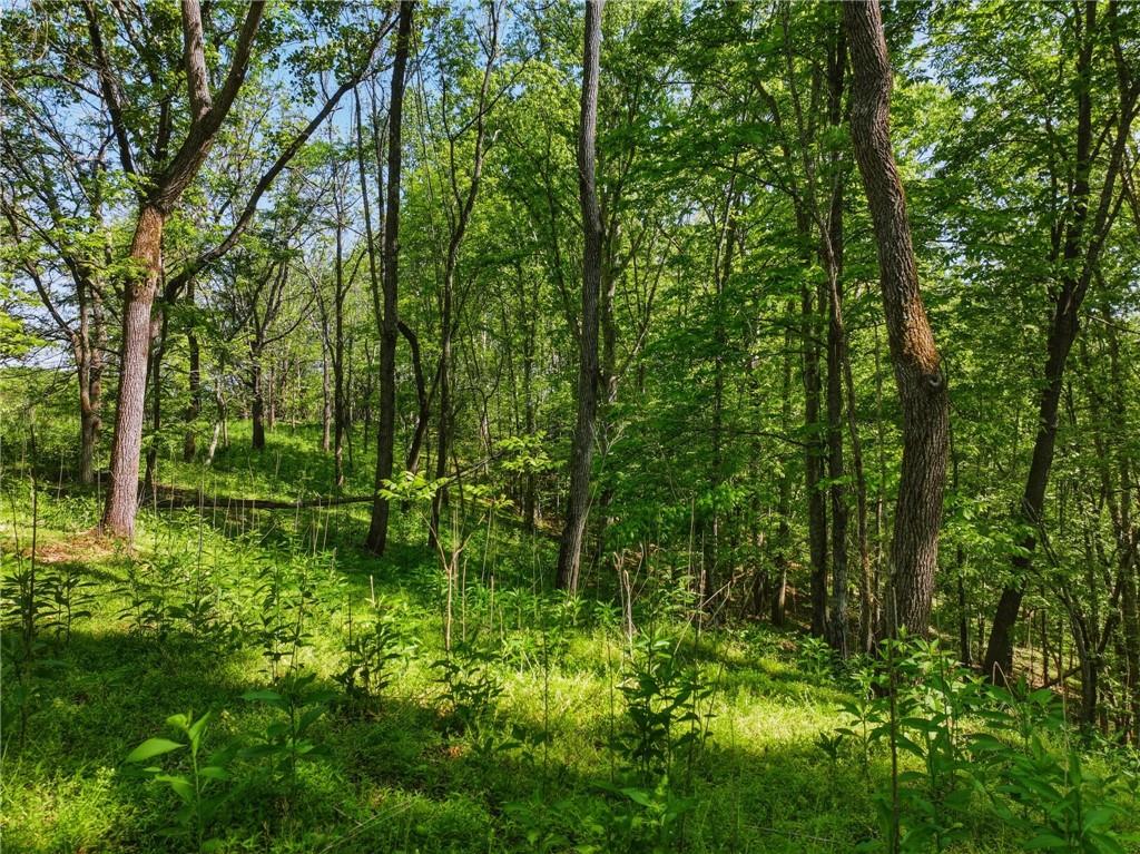 Lot 4 Summit Drive Property Photo 4