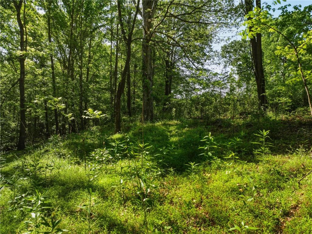 Lot 4 Summit Drive Property Photo 5