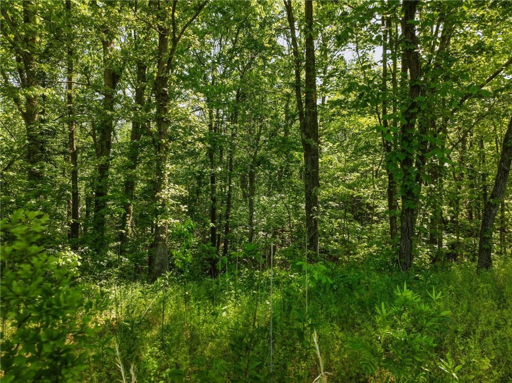 Lot 5 Summit Drive Property Photo 3