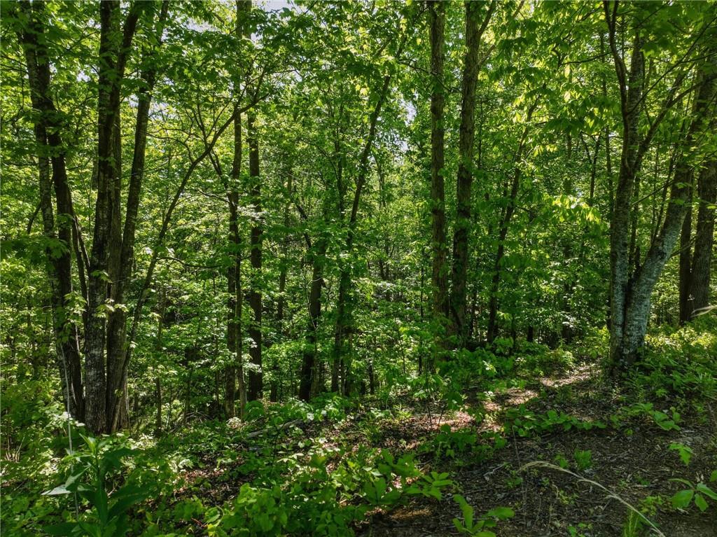 Lot 5 Summit Drive Property Photo 4