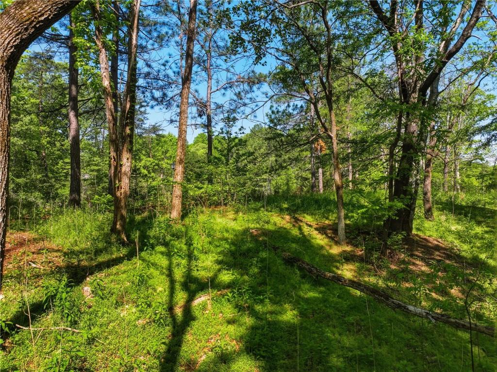 Lot 5 Summit Drive Property Photo 5