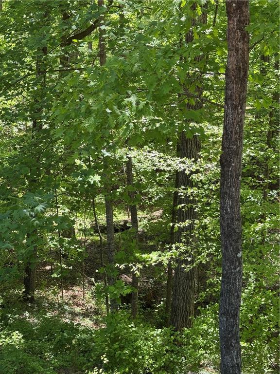 0 Clark Drive Property Photo 1