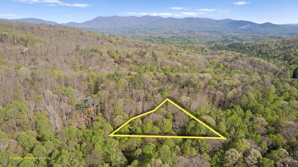0 Poplar Hollow Road Property Photo 1