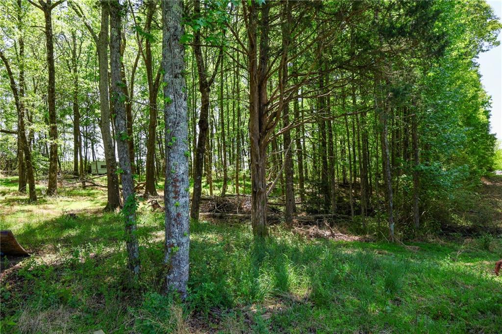 0 Pritchett Road Property Photo 7