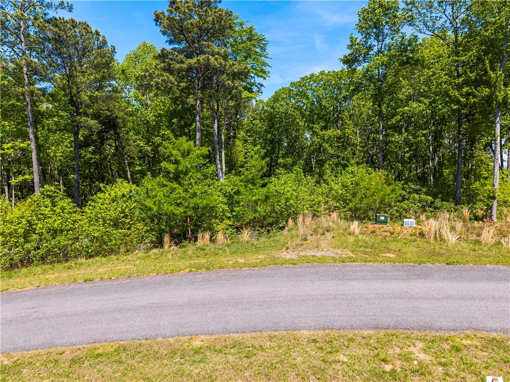 Lt 112 Twisted Oak Road Property Photo 3