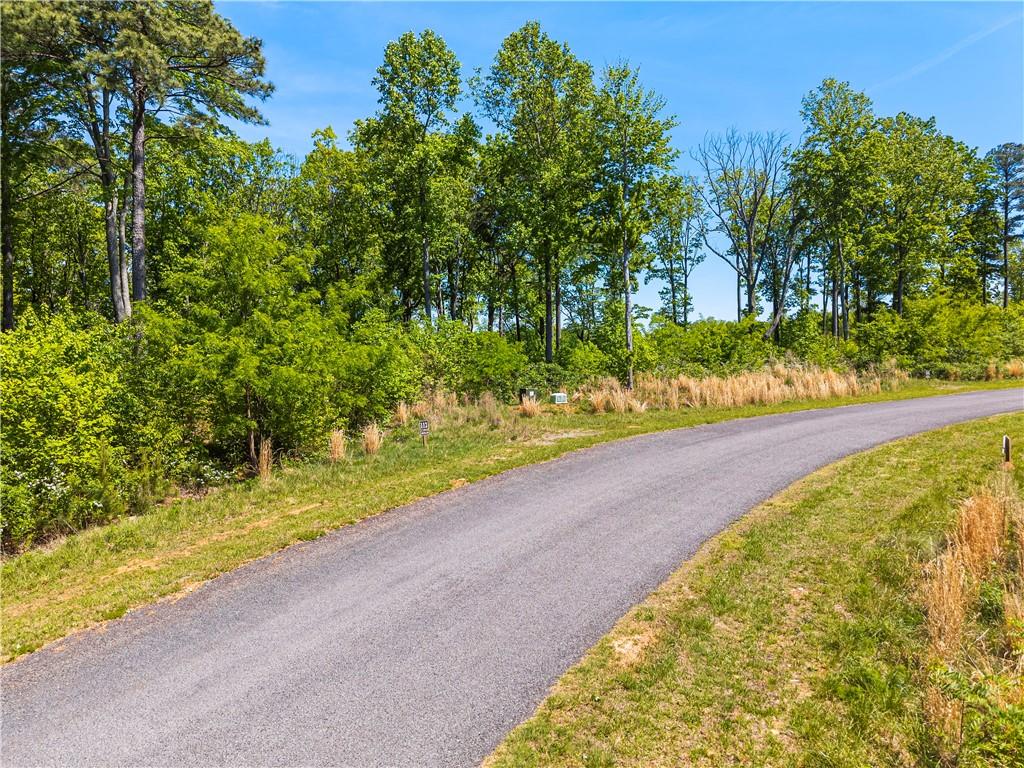 Lt 112 Twisted Oak Road Property Photo 4