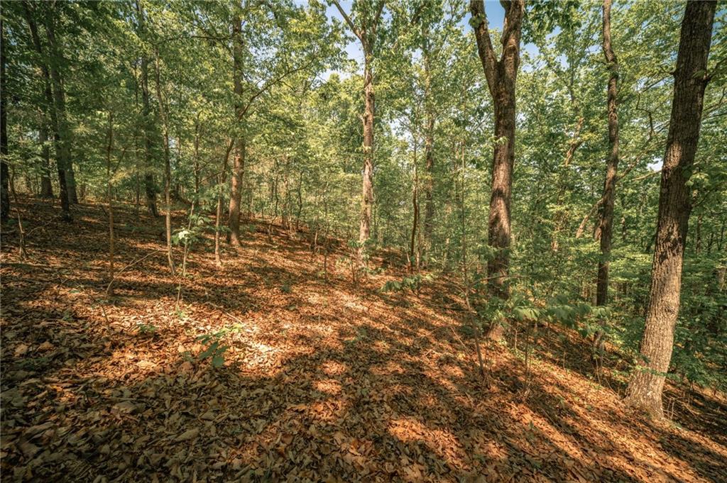 00 Hancock Mountain Trail Property Photo 1