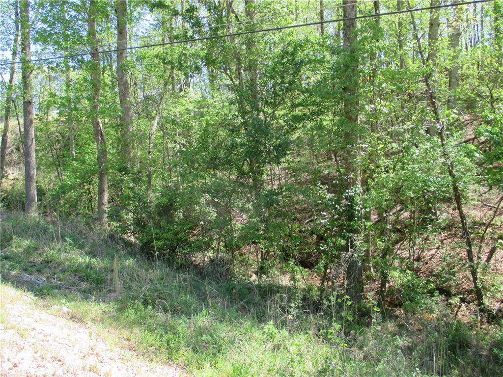 000 Morrison Moore Parkway E Property Photo 3