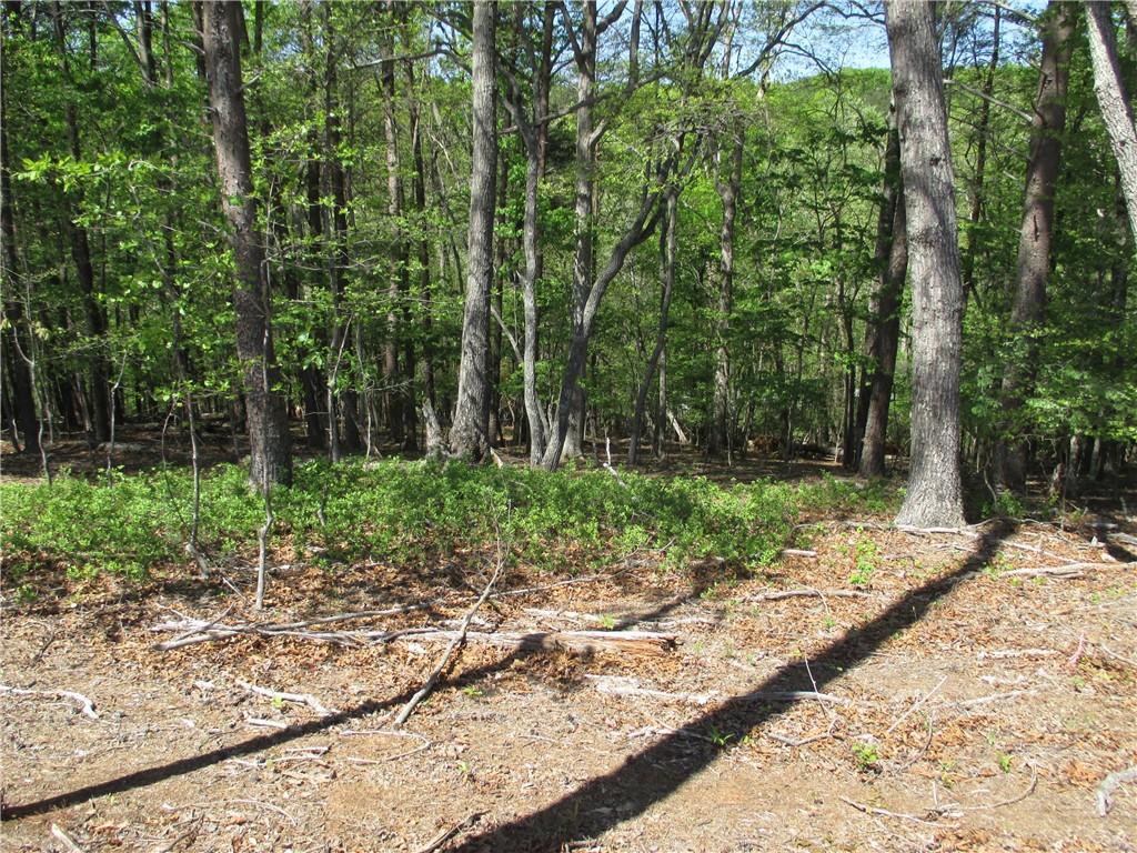 000 Morrison Moore Parkway E Property Photo 6