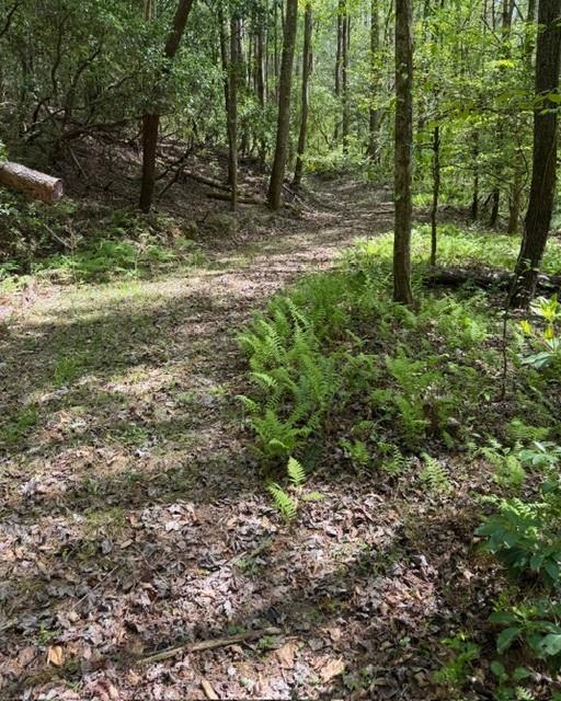 348 Hemlock Trail Property Photo 2