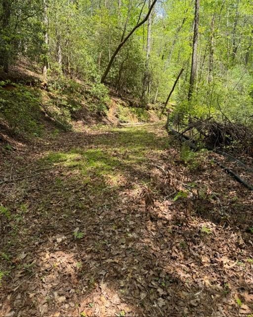 348 Hemlock Trail Property Photo 3