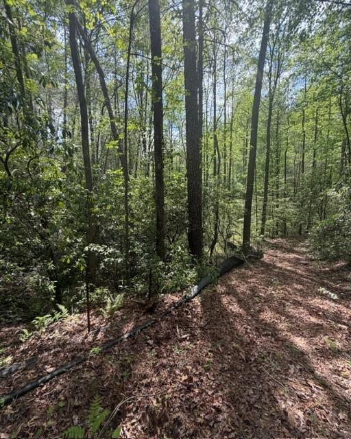 348 Hemlock Trail Property Photo 5