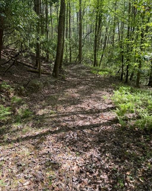 348 Hemlock Trail Property Photo 6