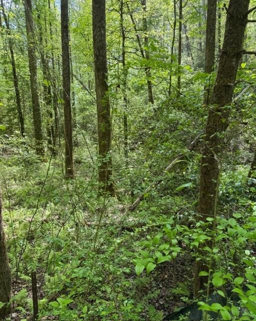 348 Hemlock Trail Property Photo 7