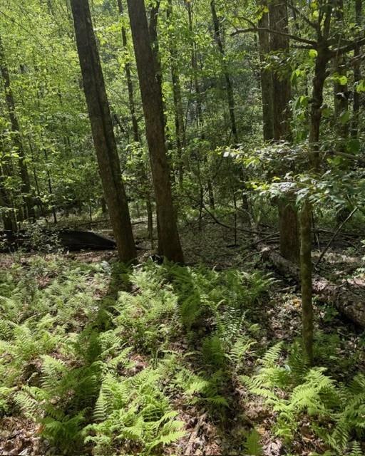 348 Hemlock Trail Property Photo 8