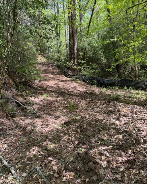 348 Hemlock Trail Property Photo 10