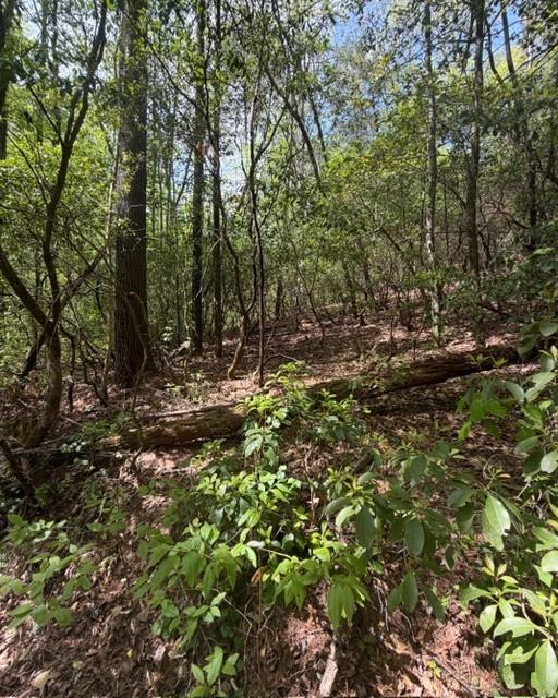 348 Hemlock Trail Property Photo 11
