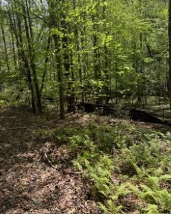 348 Hemlock Trail Property Photo 13