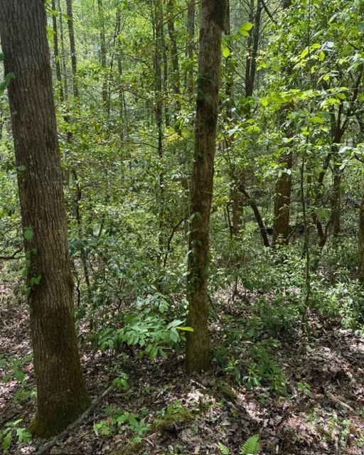 348 Hemlock Trail Property Photo 14