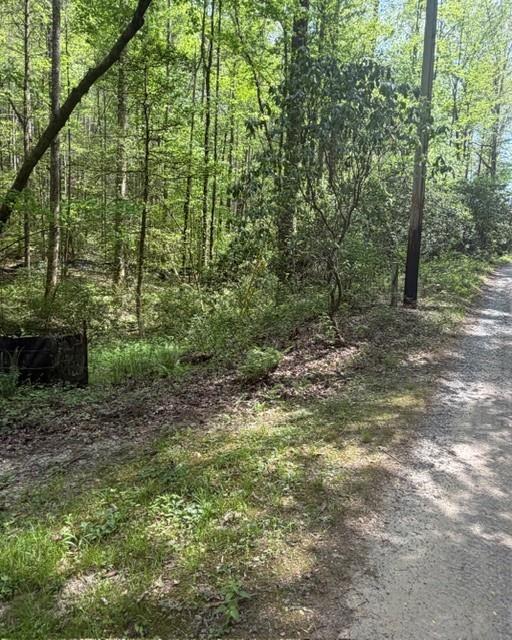 348 Hemlock Trail Property Photo 17