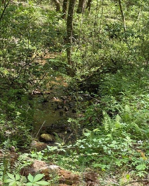348 Hemlock Trail Property Photo 18