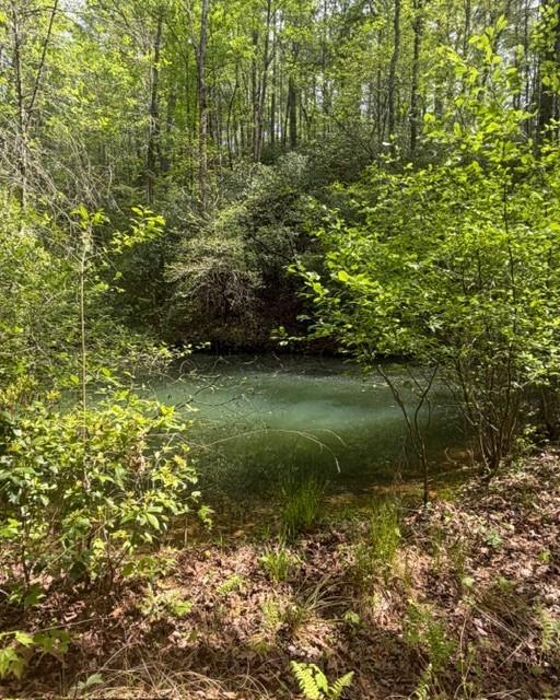 348 Hemlock Trail Property Photo 19